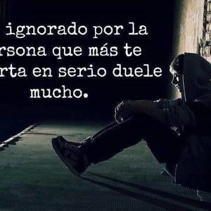 Meet your Posher, Julio